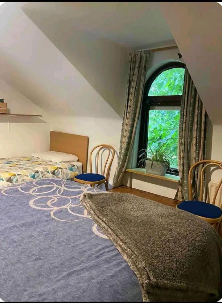 Castleton Apartment Belfast Ngoại thất bức ảnh
